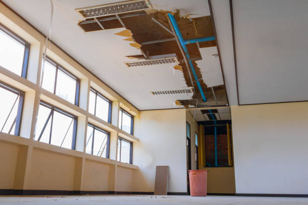 Best Mold removal after water damage  in Lake Linden, MI