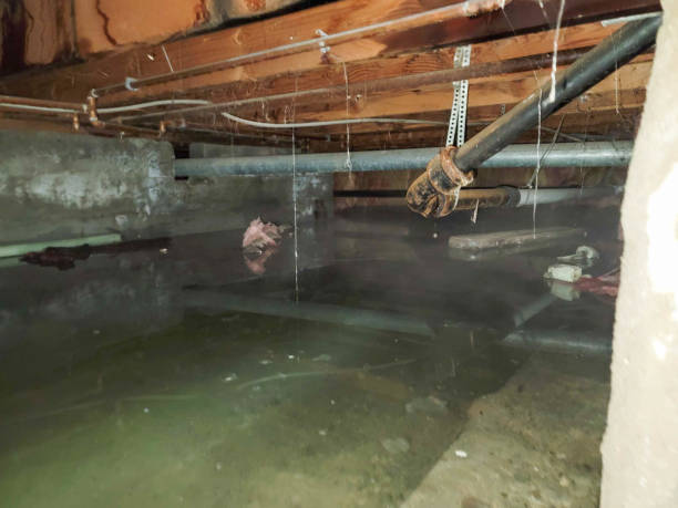 Best Local water damage restoration  in Lake Linden, MI