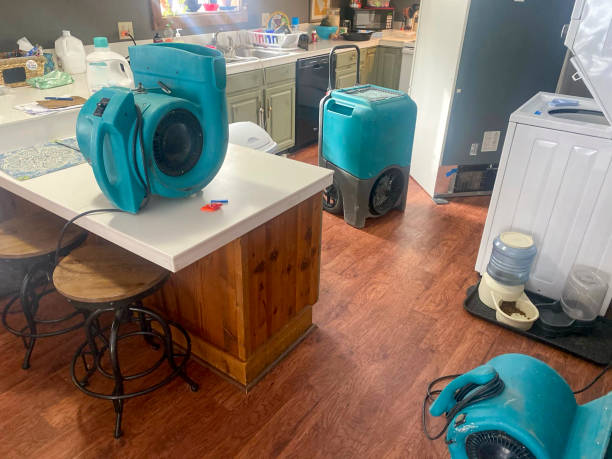 Best Local water damage restoration  in Lake Linden, MI