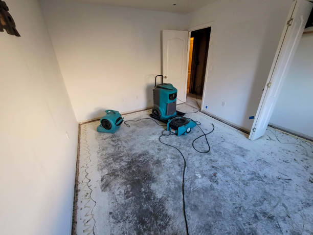 Best Ceiling water damage repair  in Lake Linden, MI