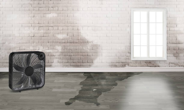 24/7 water damage repair in Lake Linden, MI
