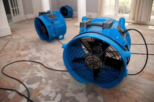 Best Water damage contractors near me  in Lake Linden, MI