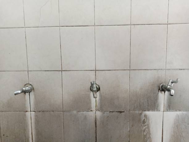 Best 24/7 water damage repair  in Lake Linden, MI