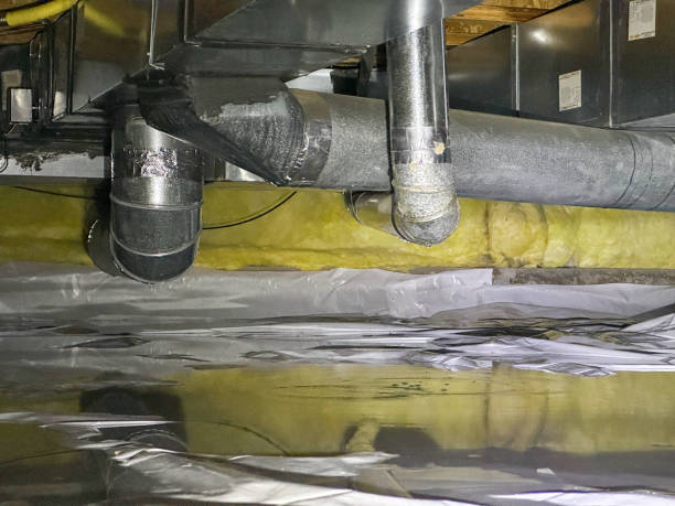 Best Basement water damage restoration  in Lake Linden, MI