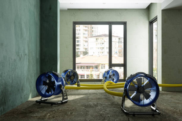Best Fire Damage Restoration  in Lake Linden, MI